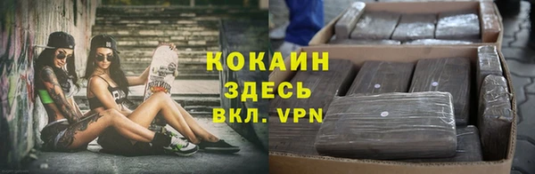эйфоретик Арсеньев