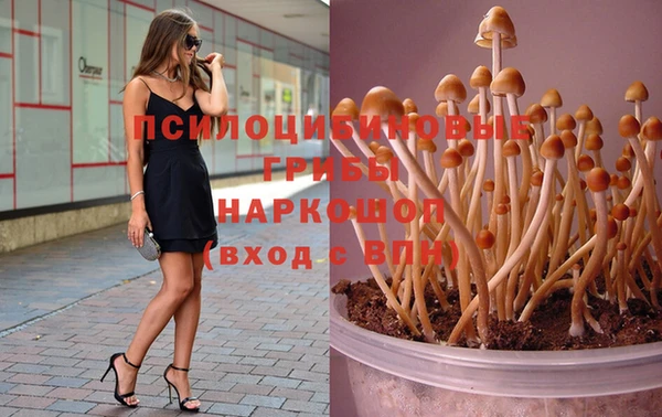 меф Пестово